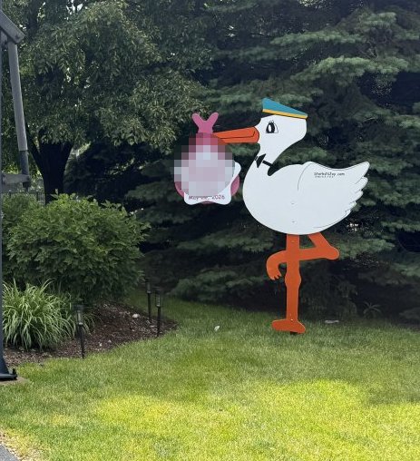 StorksNJoy rental – 2026 05 24 Addison Girl