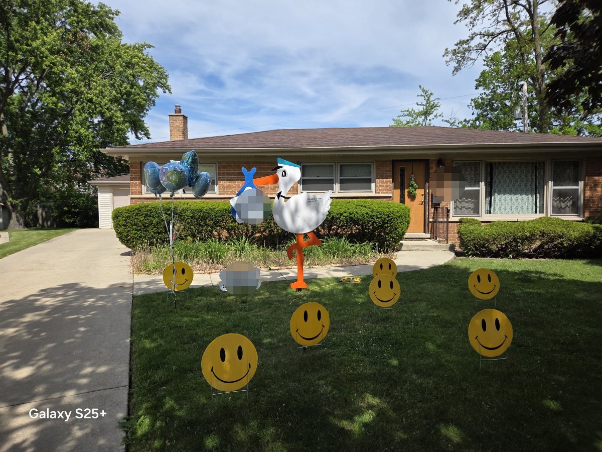StorksNJoy rental – 2026 05 30 Glenview Boy
