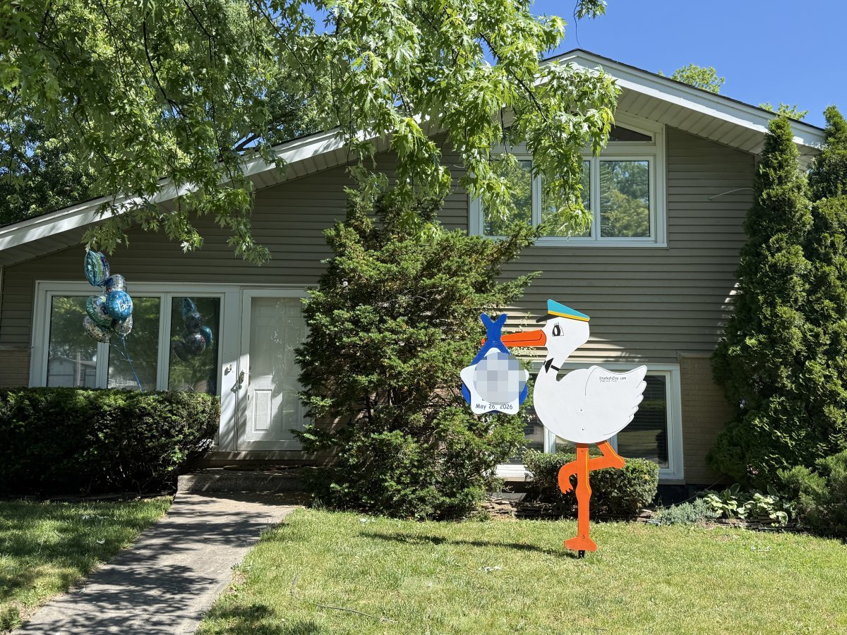 StorksNJoy rental – 2026 06 02 Niles Boy