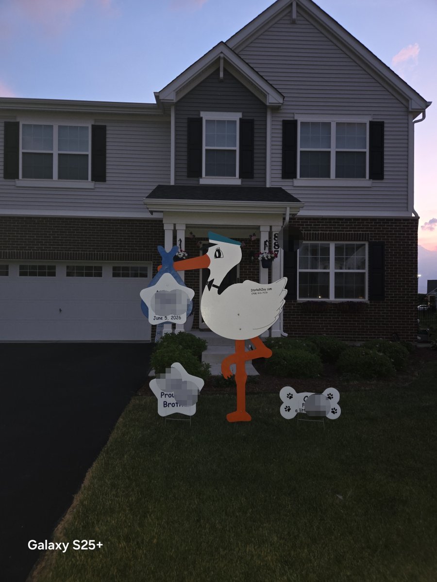 StorksNJoy rental – 2026 06 06 Boy