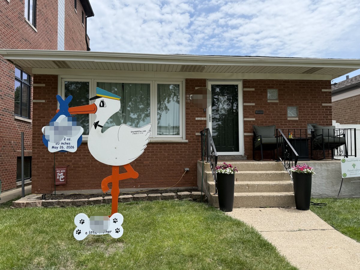 StorksNJoy rental – 2026 06 07 Chicago Boy