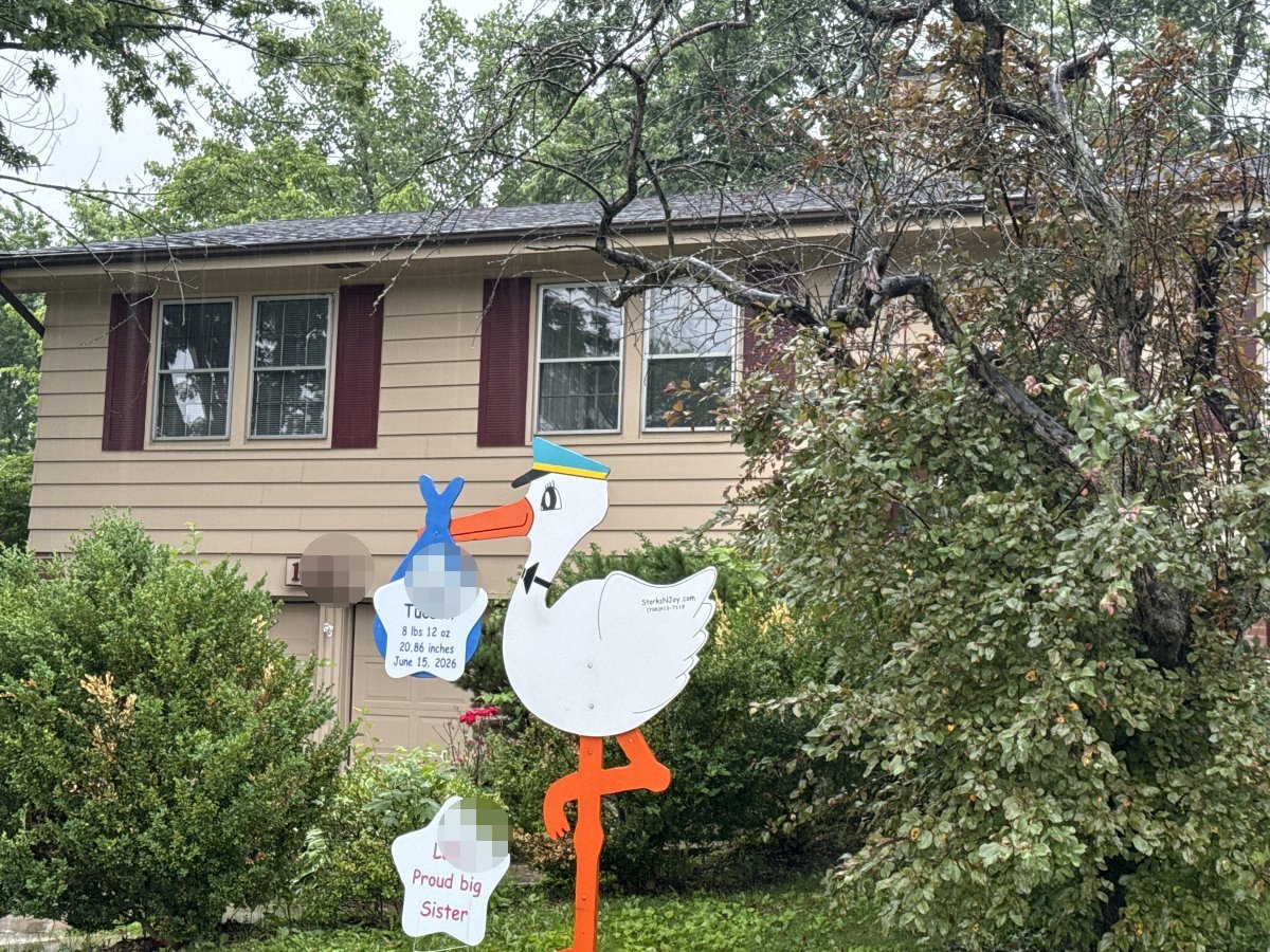 StorksNJoy rental – 2026 06 17 Schaumburg Boy