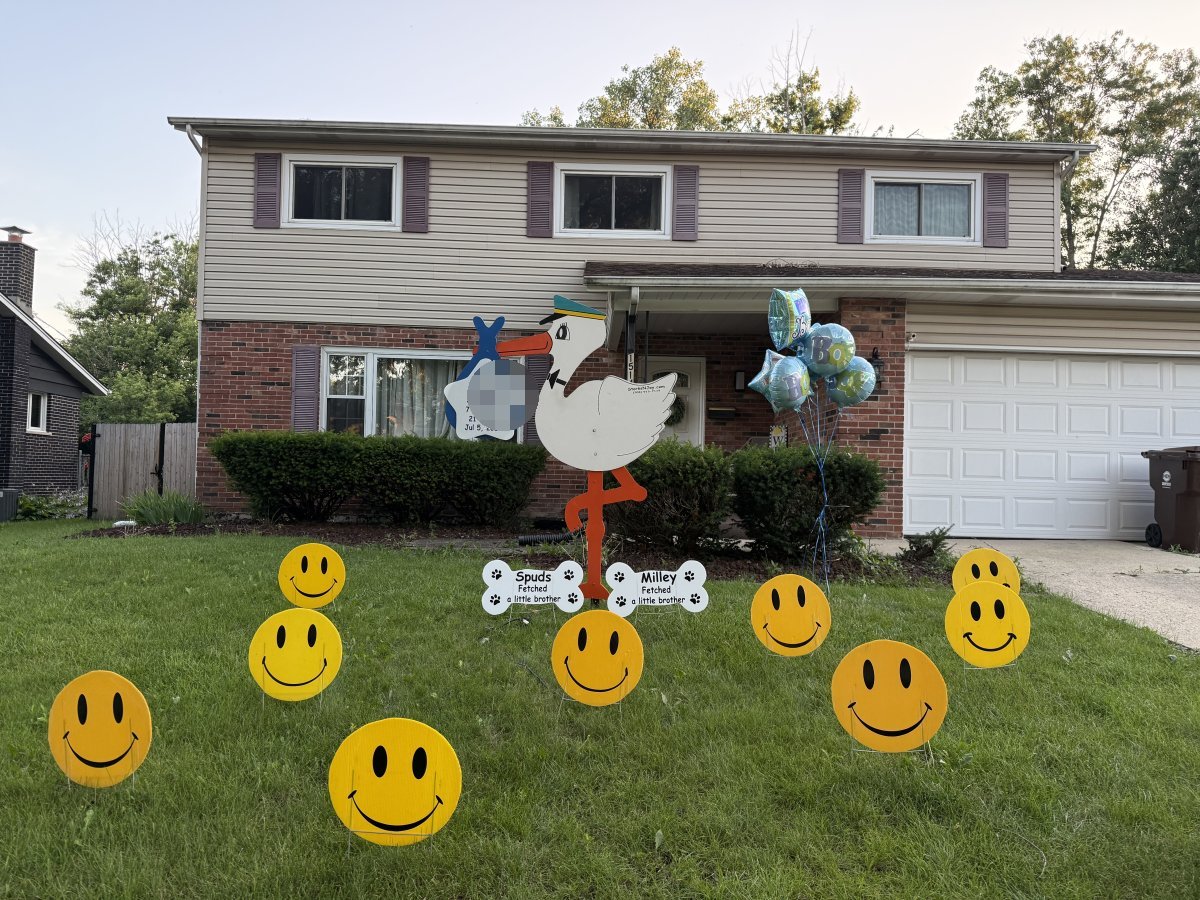 StorksNJoy rental – 2026 07 06 Oak Forest Boy