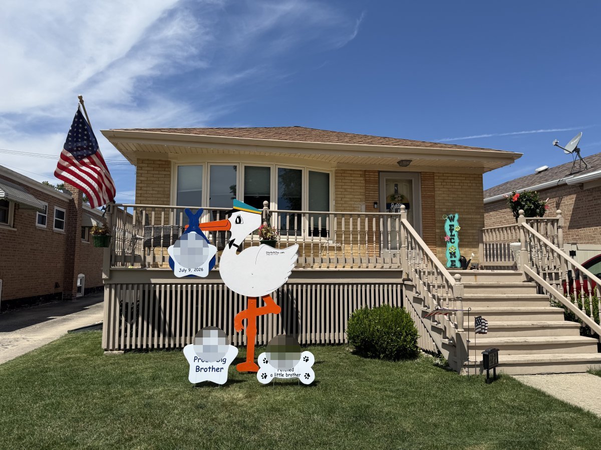 StorksNJoy rental – 2026 07 11 Chicago Standard Mixed Axis Data Flagged Boy