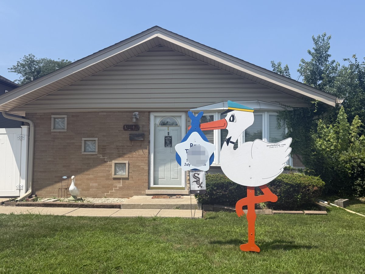 StorksNJoy rental – 2026 07 15 Alsip Boy
