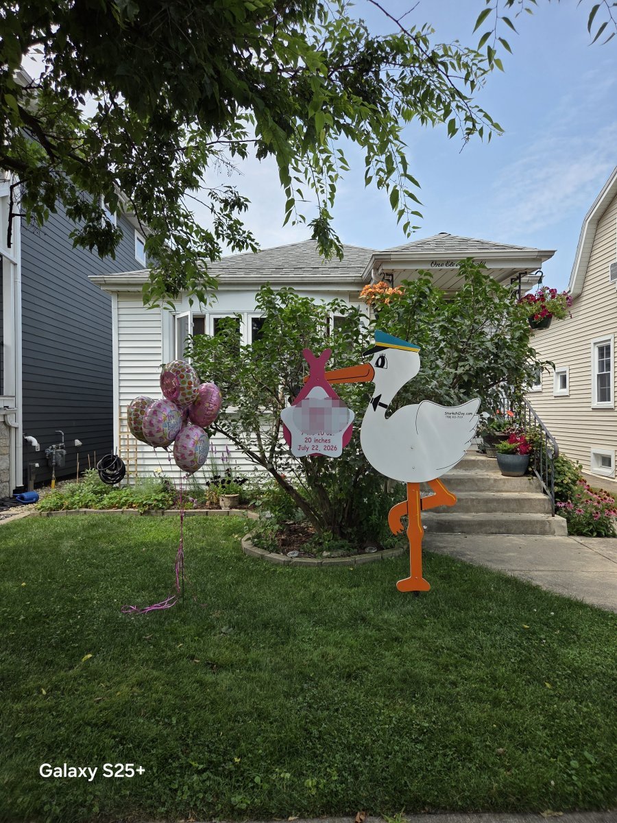 StorksNJoy rental – 2026 07 24 Chicago Standard Zone No Extra Fee Girl