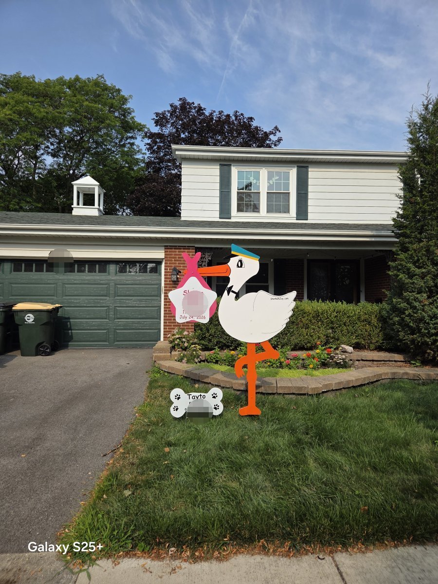 StorksNJoy rental – 2026 07 26 Arlington Heights Girl