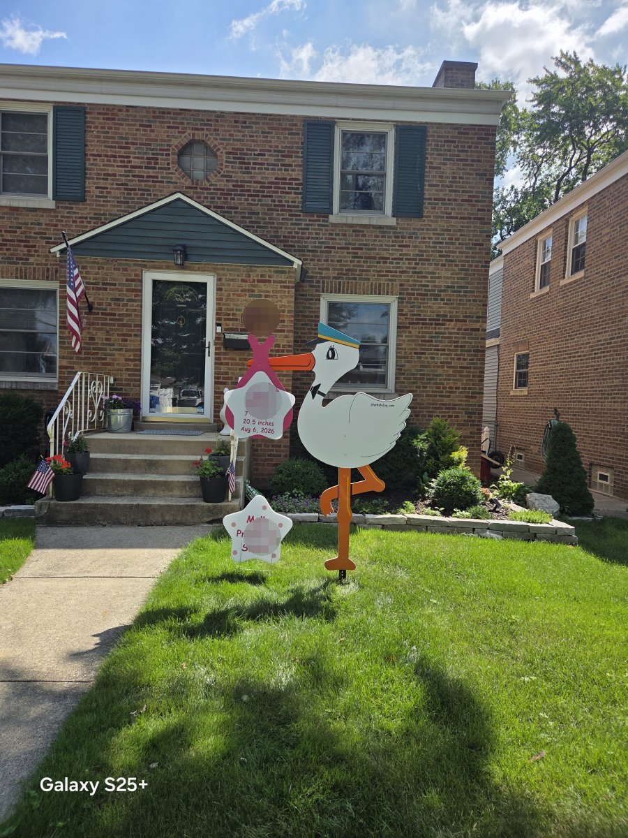 StorksNJoy rental – 2026 08 08 Chicago Standard Girl