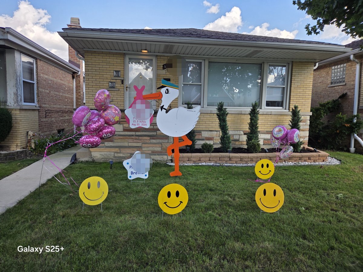 StorksNJoy rental – 2026 08 22 Chicago Standard Zone No Extra Fee Girl