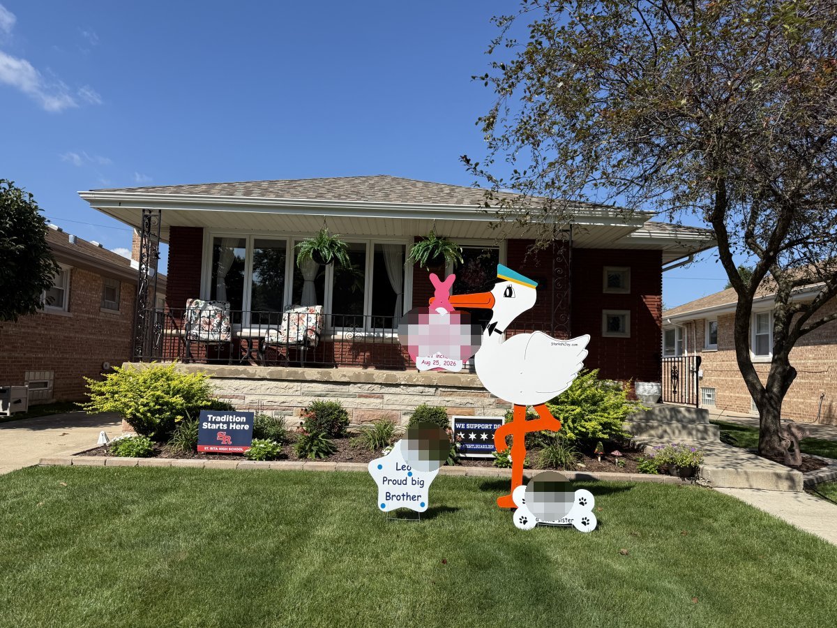 StorksNJoy rental – 2026 08 27 Chicago Standard Zone No Extra Fee Girl