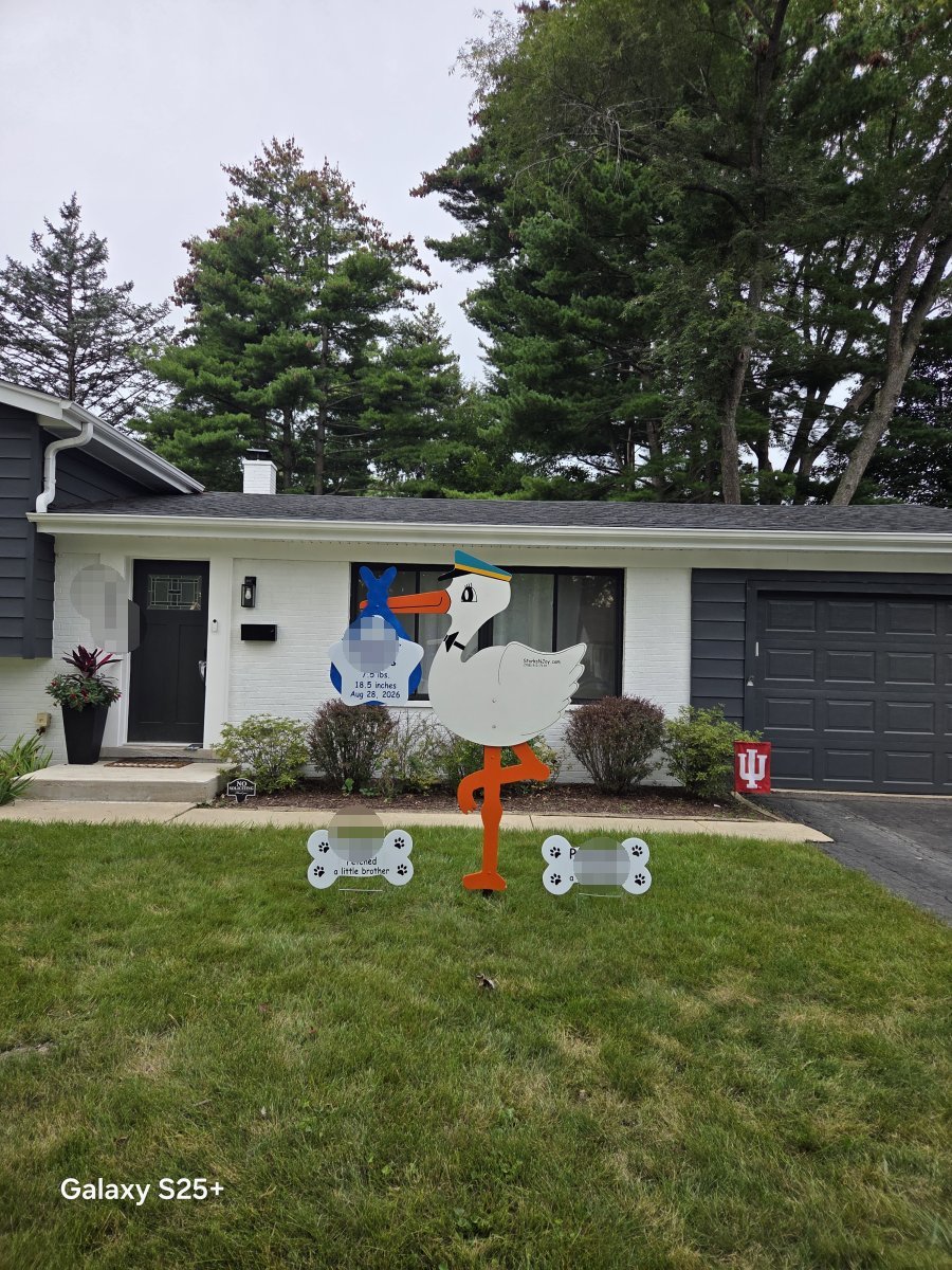 StorksNJoy rental – 2026 08 29 Palatine Boy
