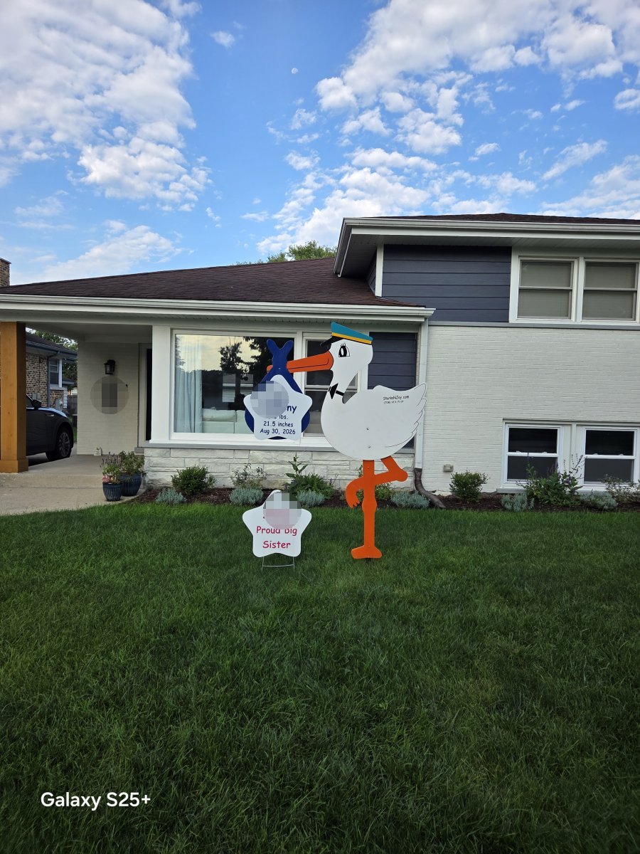 StorksNJoy rental – 2026 09 01 Park Ridge Boy