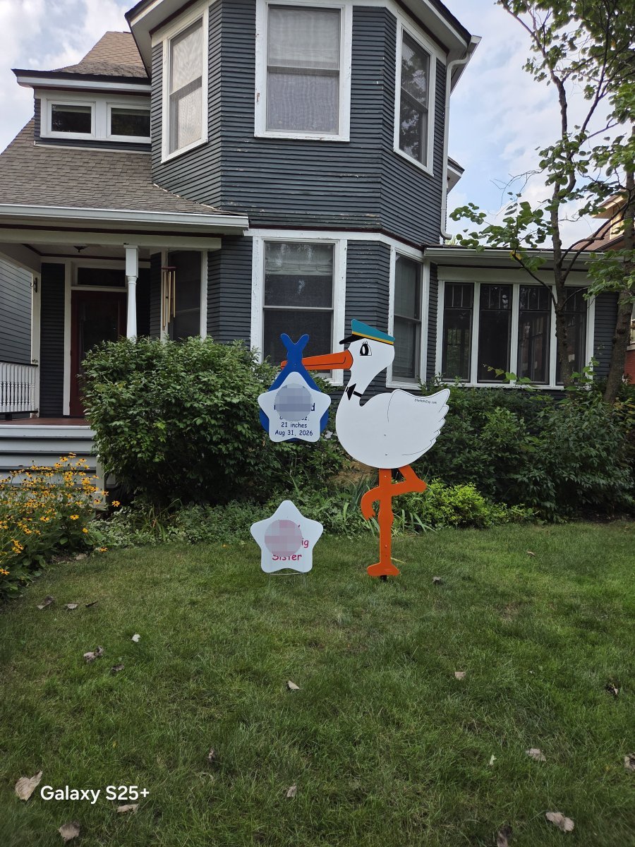 StorksNJoy rental – 2026 09 02 La Grange Park Boy