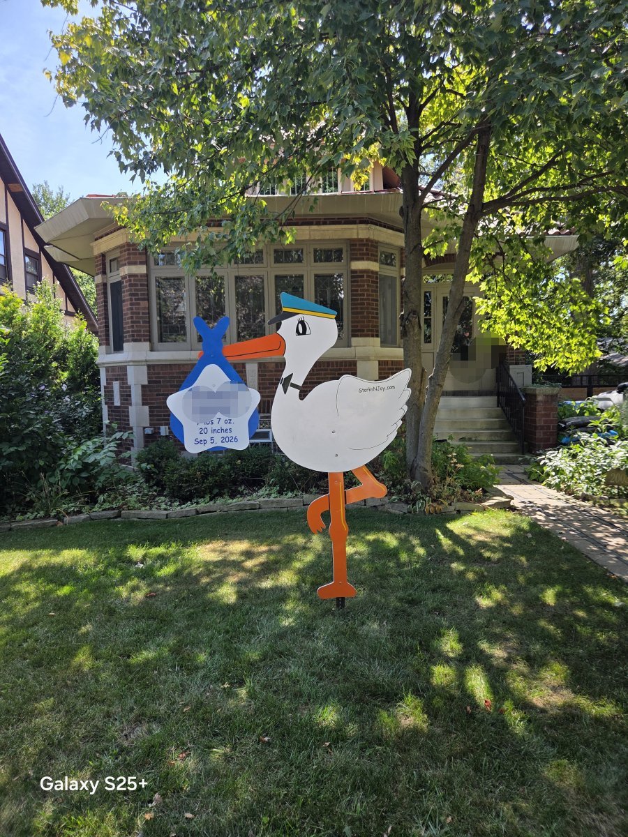 StorksNJoy rental – 2026 09 07 Chicago Boy