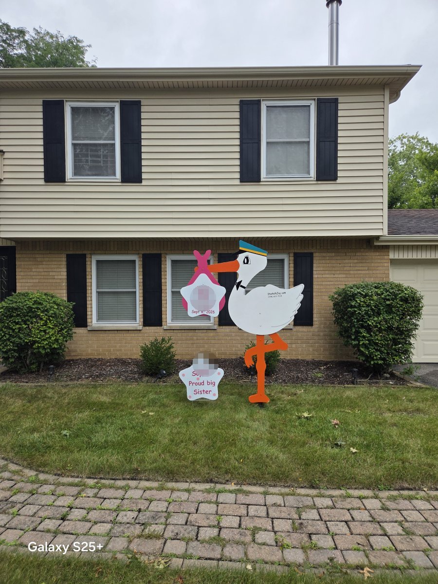 StorksNJoy rental – 2026 09 09 Palatine Girl