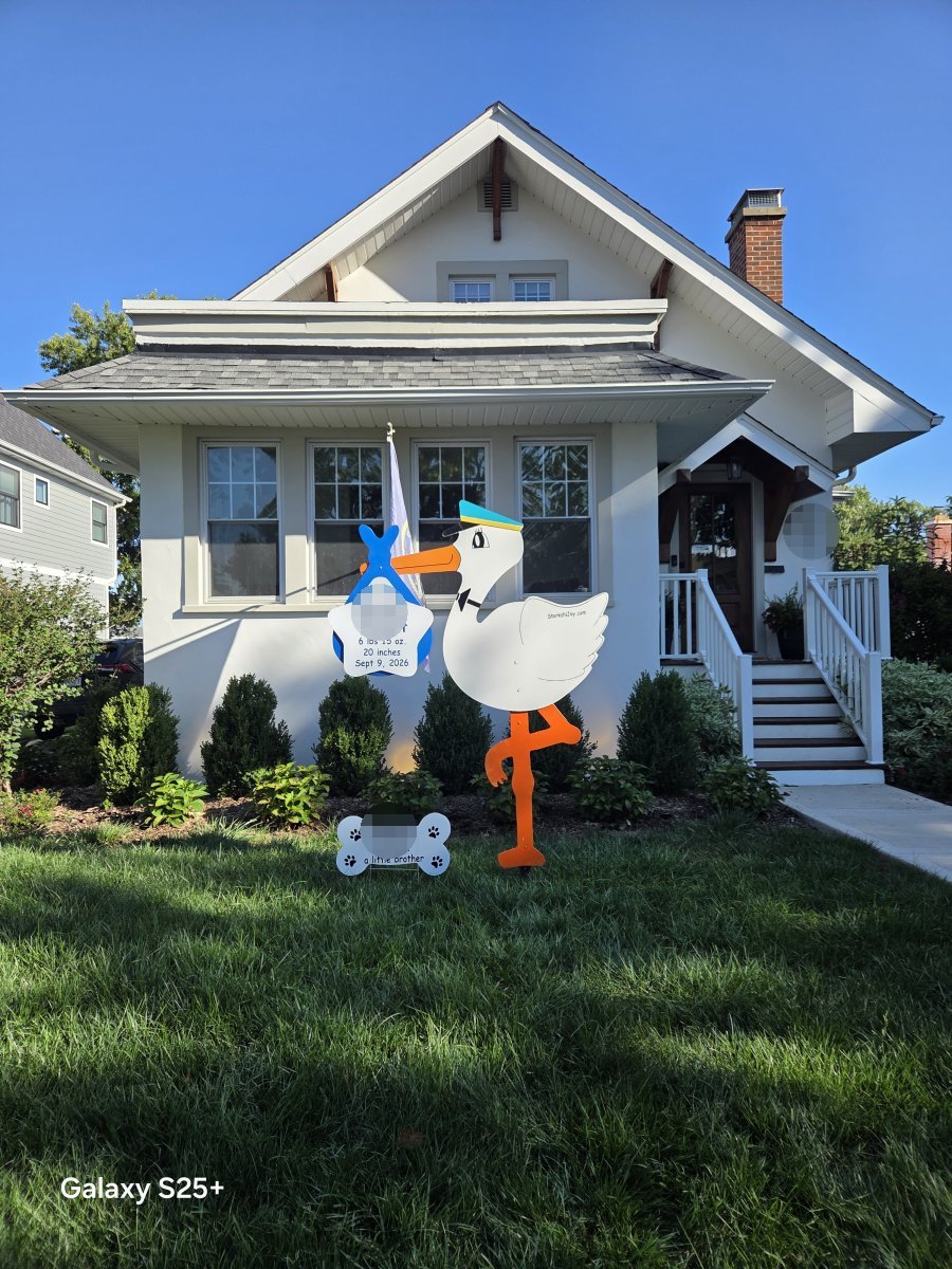 StorksNJoy rental – 2026 09 11 Elmhurst Boy
