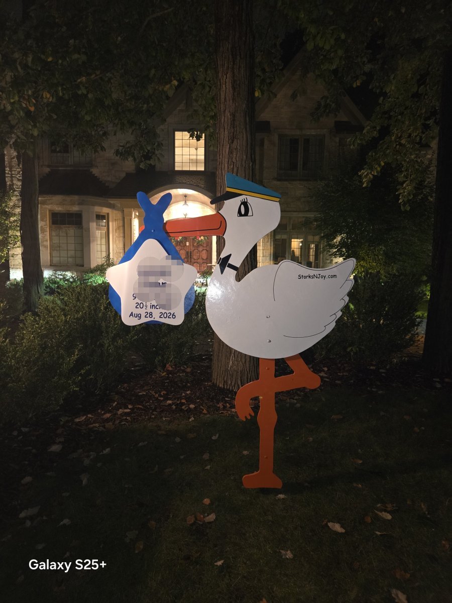 StorksNJoy rental – 2026 09 19 Glenview Boy