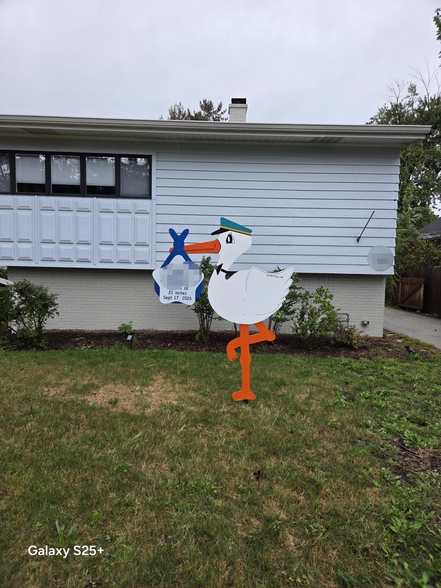 StorksNJoy rental – 2026 09 20 Lombard Boy